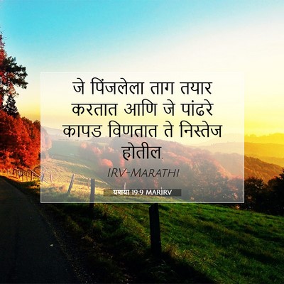 Picture 07 - यशया 19:9 MARIRV - जे पिंजलेला ताग - Bible Verse Picture