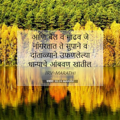 Picture 07 - यशया 30:24 MARIRV - आणि बैल व गाढव जे - Bible Verse Picture