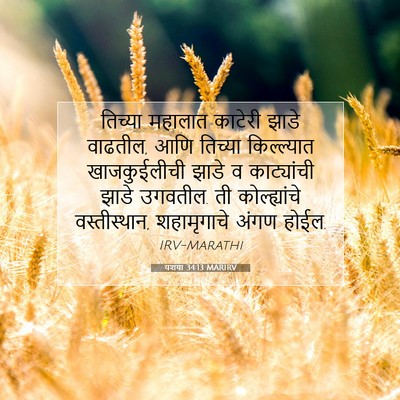 Picture 07 - यशया 34:13 MARIRV - तिच्या महालात - Bible Verse Picture