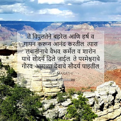 Picture 07 - यशया 35:2 MARIRV - ते विपुलतेने - Bible Verse Picture