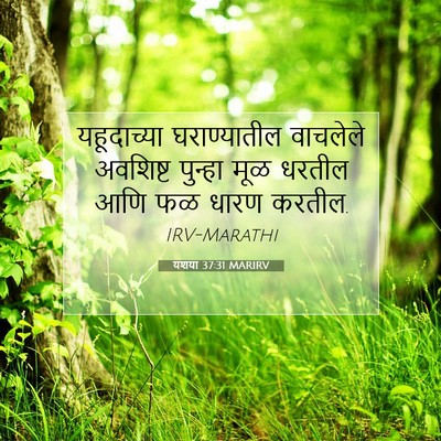 Picture 07 - यशया 37:31 MARIRV - यहूदाच्या - Bible Verse Picture