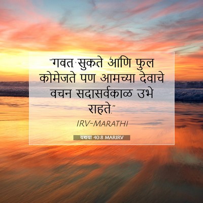 Picture 07 - यशया 40:8 MARIRV - “गवत सुकते आणि फुल - Bible Verse Picture