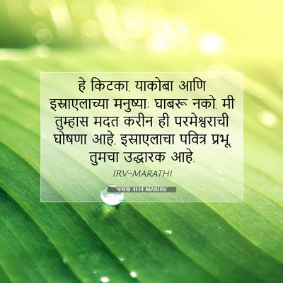 Picture 07 - यशया 41:14 MARIRV - हे किटका, याकोबा - Bible Verse Picture