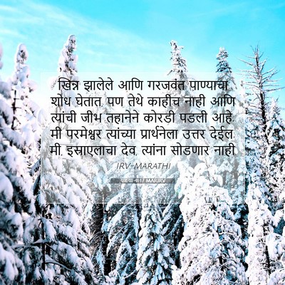 Picture 07 - यशया 41:17 MARIRV - खिन्न झालेले आणि - Bible Verse Picture