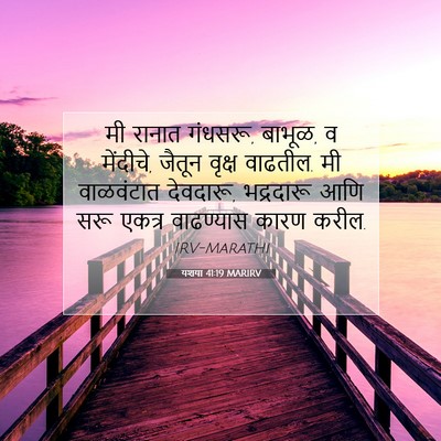 Picture 07 - यशया 41:19 MARIRV - मी रानात गंधसरू, - Bible Verse Picture