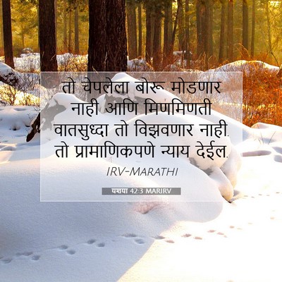 Picture 07 - यशया 42:3 MARIRV - तो चेपलेला बोरू - Bible Verse Picture