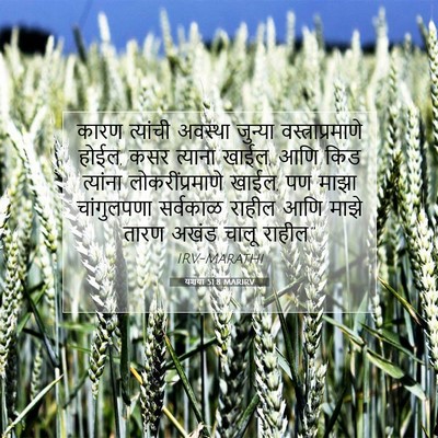 Picture 07 - यशया 51:8 MARIRV - कारण त्यांची - Bible Verse Picture