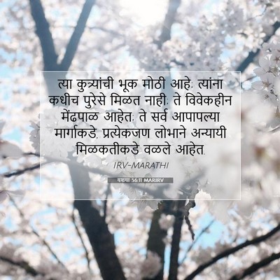 Picture 07 - यशया 56:11 MARIRV - त्या कुत्र्यांची - Bible Verse Picture