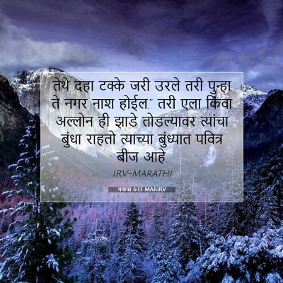 Picture 07 - यशया 6:13 MARIRV - तेथे दहा टक्के जरी - Bible Verse Picture