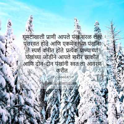 Picture 07 - यहेज्केल 1:23 MARIRV - घुमटाखाली प्राणी - Bible Verse Picture