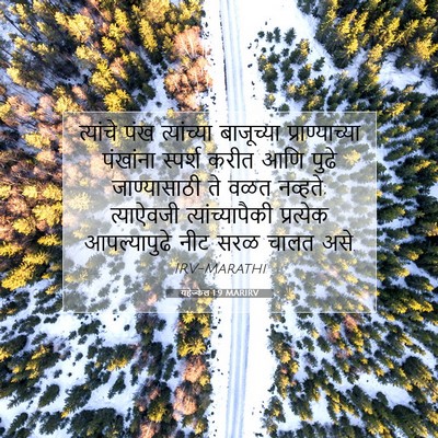 Picture 07 - यहेज्केल 1:9 MARIRV - त्यांचे पंख - Bible Verse Picture
