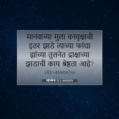 Picture 07 - यहेज्केल 15:2 MARIRV - मानवाच्या मुला - Bible Verse Picture