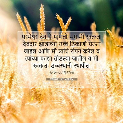 Picture 07 - यहेज्केल 17:22 MARIRV - परमेश्वर देव हे - Bible Verse Picture