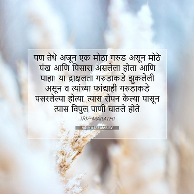 Picture 07 - यहेज्केल 17:7 MARIRV - पण तेथे अजून एक - Bible Verse Picture