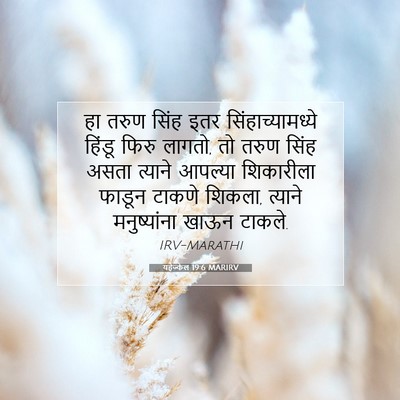Picture 07 - यहेज्केल 19:6 MARIRV - हा तरुण सिंह इतर - Bible Verse Picture