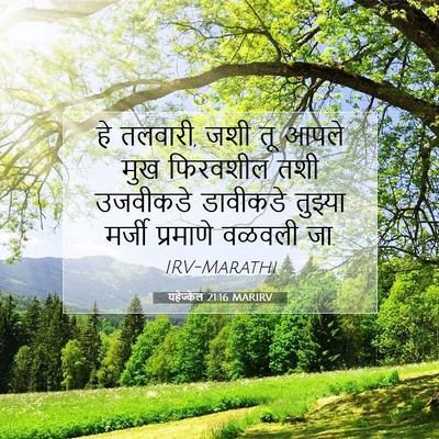 Picture 07 - यहेज्केल 21:16 MARIRV - हे तलवारी, जशी तू - Bible Verse Picture