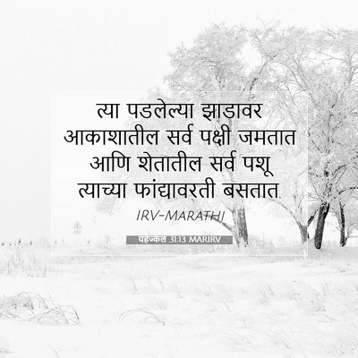 Picture 07 - यहेज्केल 31:13 MARIRV - त्या पडलेल्या - Bible Verse Picture