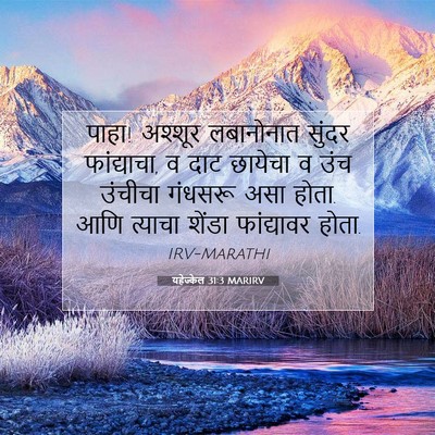 Picture 07 - यहेज्केल 31:3 MARIRV - पाहा! अश्शूर - Bible Verse Picture