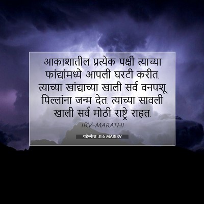 Picture 07 - यहेज्केल 31:6 MARIRV - आकाशातील प्रत्येक - Bible Verse Picture