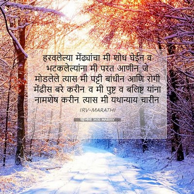 Picture 07 - यहेज्केल 34:16 MARIRV - हरवलेल्या - Bible Verse Picture