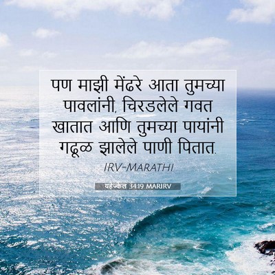 Picture 07 - यहेज्केल 34:19 MARIRV - पण माझी मेंढरे आता - Bible Verse Picture