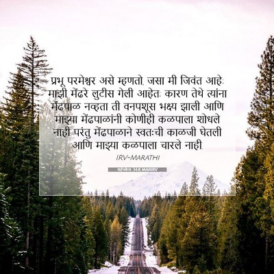 Picture 07 - यहेज्केल 34:8 MARIRV - प्रभू परमेश्वर - Bible Verse Picture