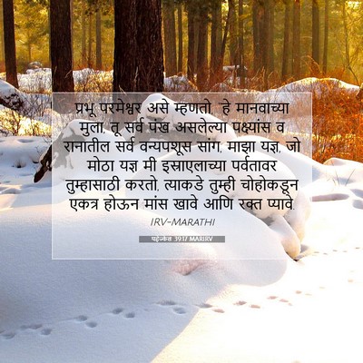 Picture 07 - यहेज्केल 39:17 MARIRV - प्रभू परमेश्वर - Bible Verse Picture