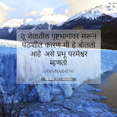 Picture 07 - यहेज्केल 39:5 MARIRV - तू शेतातील - Bible Verse Picture