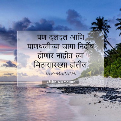 Picture 07 - यहेज्केल 47:11 MARIRV - पण दलदल आणि - Bible Verse Picture