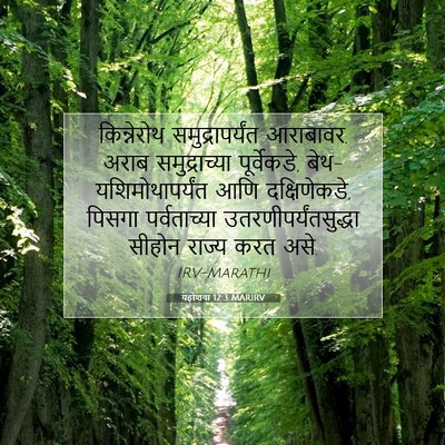 Picture 07 - यहोशवा 12:3 MARIRV - किन्नेरोथ - Bible Verse Picture
