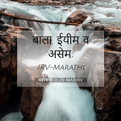 Picture 07 - यहोशवा 15:29 MARIRV - बाला, ईयीम व - Bible Verse Picture
