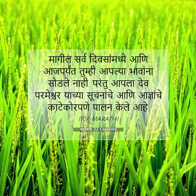 Picture 07 - यहोशवा 22:3 MARIRV - मागील सर्व - Bible Verse Picture