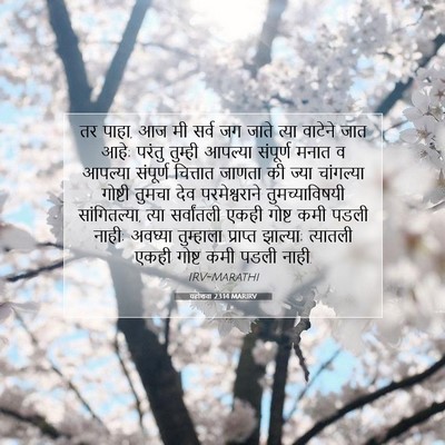 Picture 07 - यहोशवा 23:14 MARIRV - तर पाहा, आज मी सर्व - Bible Verse Picture