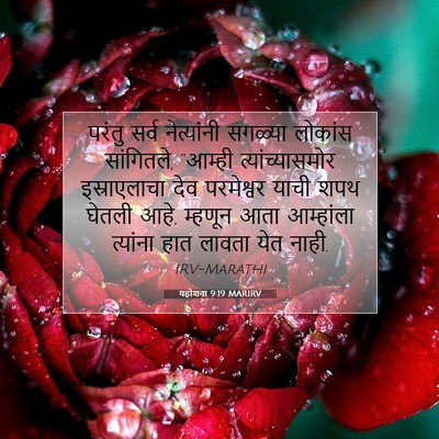 Picture 07 - यहोशवा 9:19 MARIRV - परंतु सर्व - Bible Verse Picture