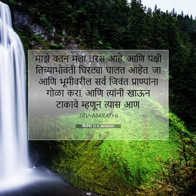 Picture 07 - यिर्मया 12:9 MARIRV - माझे वतन मला तरस - Bible Verse Picture