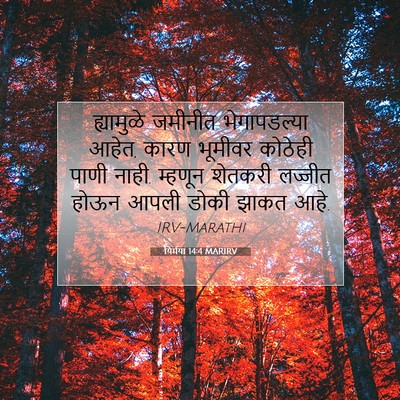 Picture 07 - यिर्मया 14:4 MARIRV - ह्यामुळे जमीनीत - Bible Verse Picture