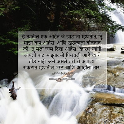 Picture 07 - यिर्मया 2:27 MARIRV - हे त्यातील एक आहेत - Bible Verse Picture