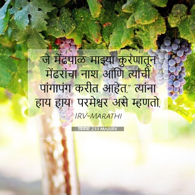Picture 07 - यिर्मया 23:1 MARIRV - “जे मेंढपाळ - Bible Verse Picture