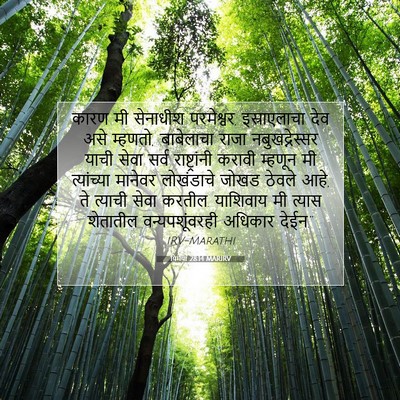 Picture 07 - यिर्मया 28:14 MARIRV - कारण मी सेनाधीश - Bible Verse Picture