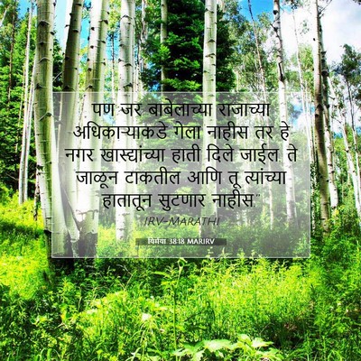 Picture 07 - यिर्मया 38:18 MARIRV - पण जर बाबेलाच्या - Bible Verse Picture