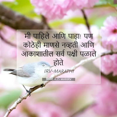 Picture 07 - यिर्मया 4:25 MARIRV - मी पाहिले आणि पाहा! - Bible Verse Picture
