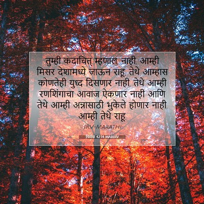 Picture 07 - यिर्मया 42:14 MARIRV - तुम्ही कदाचित् - Bible Verse Picture