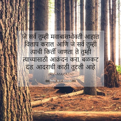 Picture 07 - यिर्मया 48:17 MARIRV - जे सर्व तुम्ही - Bible Verse Picture