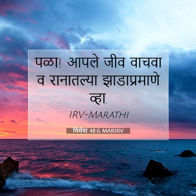 Picture 07 - यिर्मया 48:6 MARIRV - पळा! आपले जीव वाचवा - Bible Verse Picture