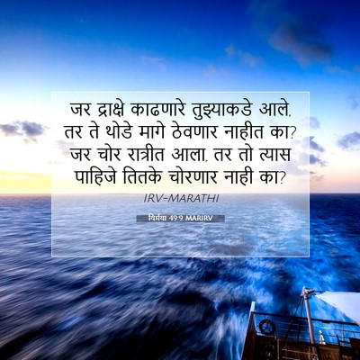 Picture 07 - यिर्मया 49:9 MARIRV - जर द्राक्षे - Bible Verse Picture