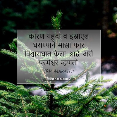 Picture 07 - यिर्मया 5:11 MARIRV - कारण यहूदा व - Bible Verse Picture