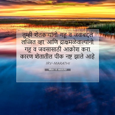 Picture 07 - योएल 1:11 MARIRV - तुम्ही - Bible Verse Picture