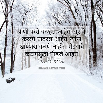 Picture 07 - योएल 1:18 MARIRV - प्राणी कसे कण्हत - Bible Verse Picture