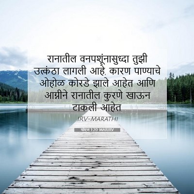 Picture 07 - योएल 1:20 MARIRV - रानातील - Bible Verse Picture