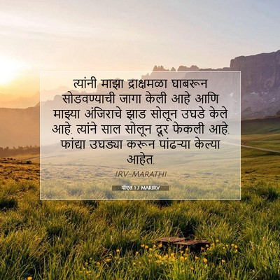 Picture 07 - योएल 1:7 MARIRV - त्यांनी माझा - Bible Verse Picture